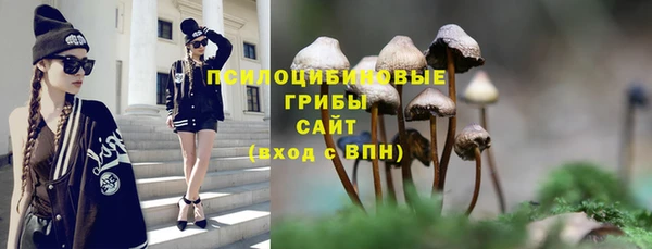 спиды Абаза