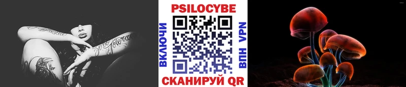 Галлюциногенные грибы Cubensis  купить наркотики цена  Приволжский 